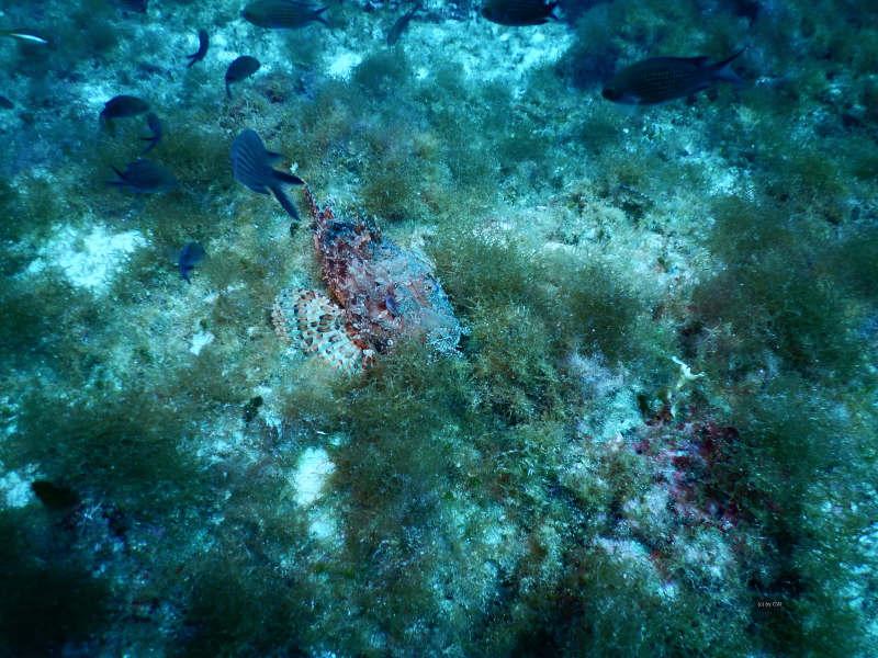 UW-Bilder Menorca