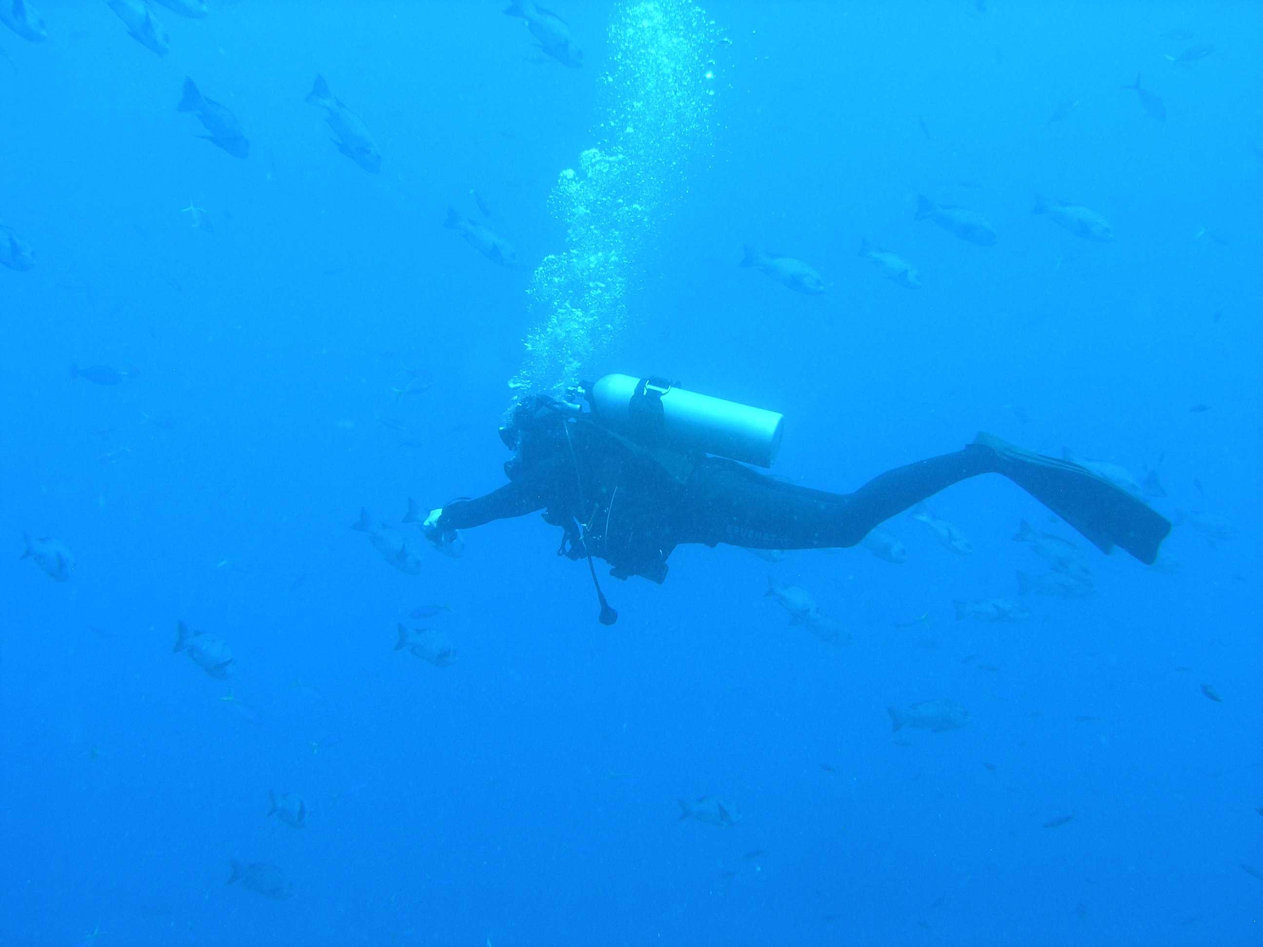 Palau
