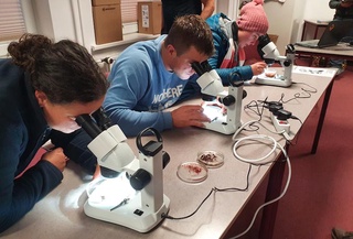 Unseren Besuch vom Seminar SK Meeresbiologie 2022